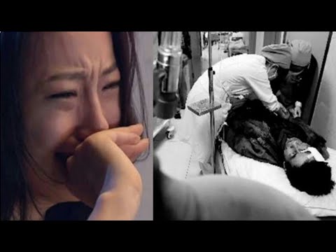 Yang terbaik pembesaran penis Hormon yang bertanggung jawab untuk potensi laki-laki