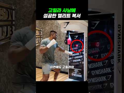 은가누를 실신 시킨 복싱 천재!