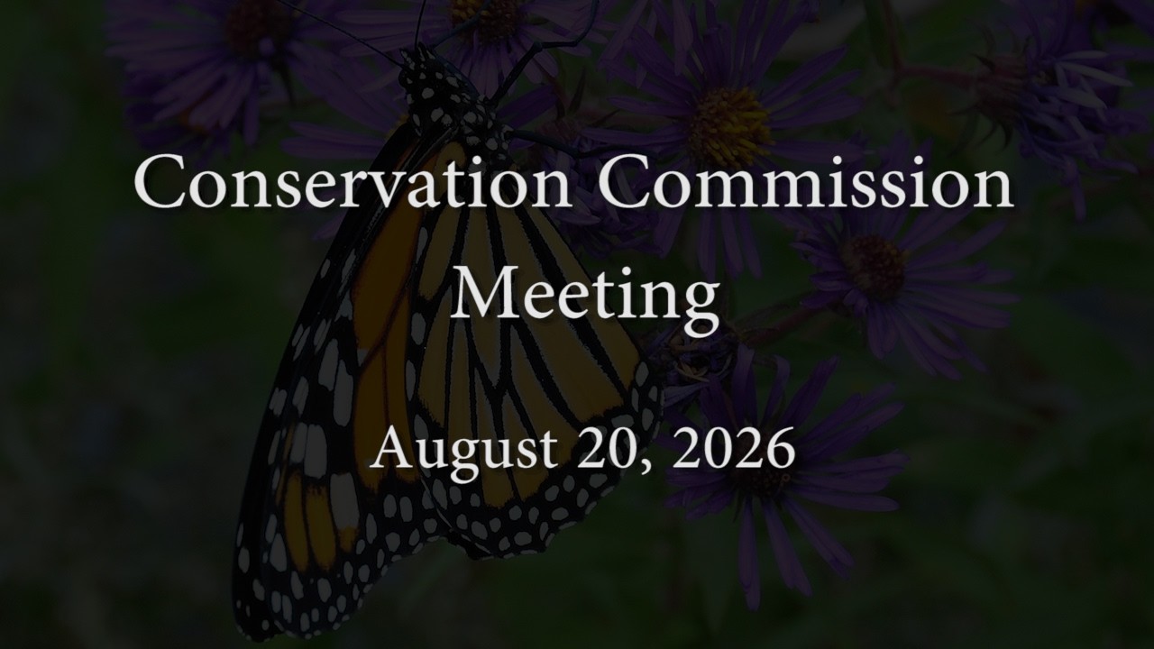 From the Conservation