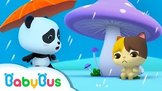 Baby Panda&#39;s Umbrella | Baby Kitten Looks for Shelter From Rain | BabyBus Cartoon