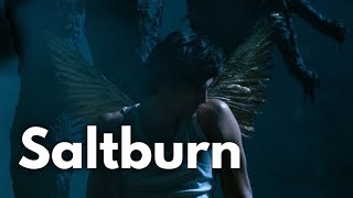 SALTBURN | The Un-Official Explanation