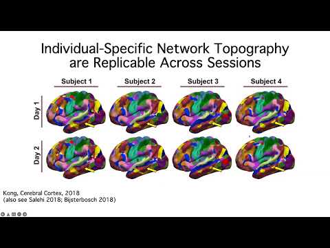 Innovators in Cog Neuro - Thomas Yeo (3/30/2022)