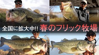 【解説付き】ジャッカルプロ達が春のバス釣りでプリスポーンを狙うアノの釣り方！ / 水野浩聡、加木屋守、村上祥悟