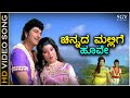 Chinnada Mallige Hoove HD Video Song Huliya Haalina Mevu Dr Rajkumar Jayachithra S Janaki