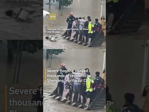 Four-second rescue: Police officer leaps into flood to save slipping woman