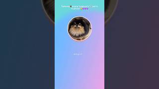 Download lagu Taehyung singing jungkookโs song Euphoria ๐ฅน๐ #taekook #vkook #kimtaehyung #v#jungkook#bts #btslive mp3 Download lagu Taehyung singing jungkookโs song Euphoria ๐ฅน๐ #taekook #vkook #kimtaehyung #v#jungkook#bts #btslive mp3