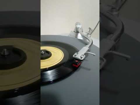 Combo Los Galleros / La Rueda de Chicago