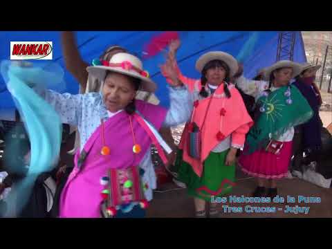 HALCONES DE LA PUNA 2023