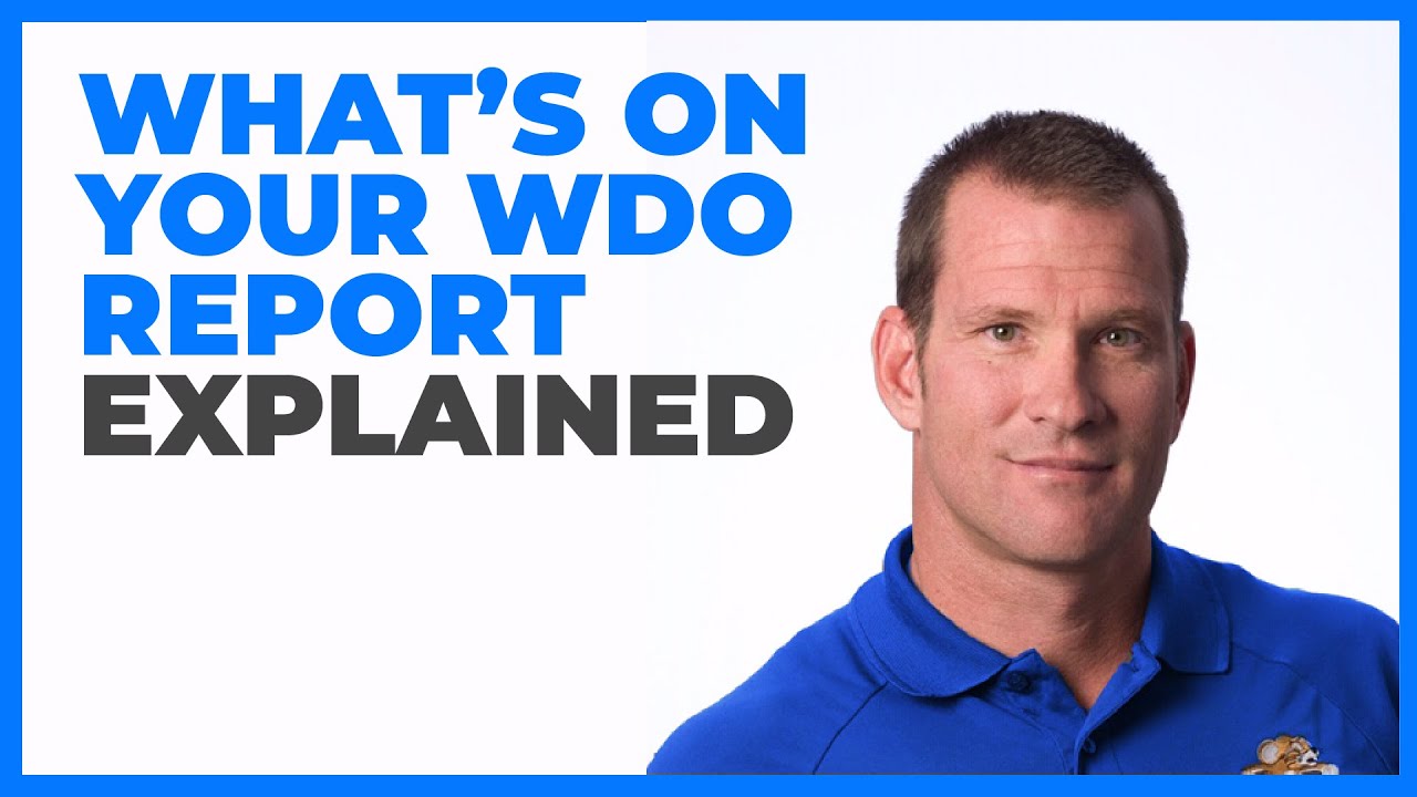 What's on Your WDO Report, Explained