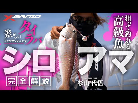 【差がつく！タイラバフックセッティング】シロアマ完全解説