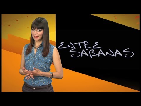 En cine nos vemos - Entre sábanas - Gustavo Nieto Roa, 2008