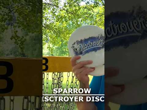 60 SECOND DISC REVIEW | DISCTROYER DISCS ...