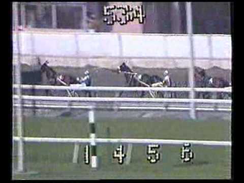 Nihilator (c. 82 By Niatross--Margie's Melody--Bret Hanover) 1985 Campaign