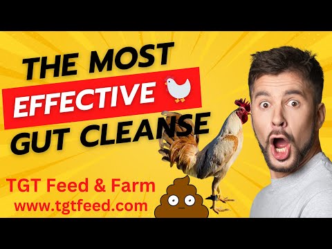 @TGTFEEDFARM POULTRY HEALTH SECRETS
