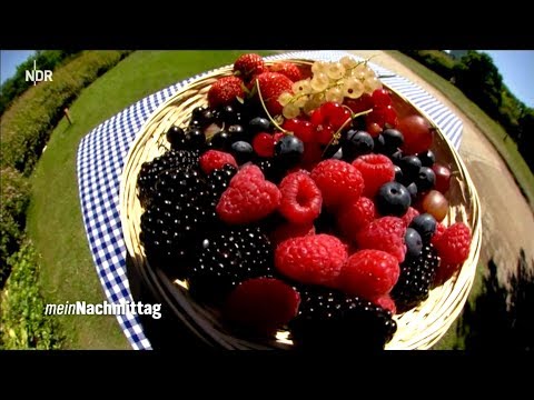 NDR Mein Nachmittag– Beerenobst (Live aus Ellerhoop)