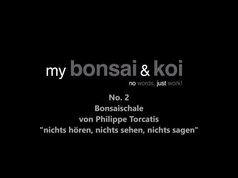 Bonsai - no words, just work! - No. 2 - Bonsaischale Philippe Torcatis - nichts hören, sehen, sagen