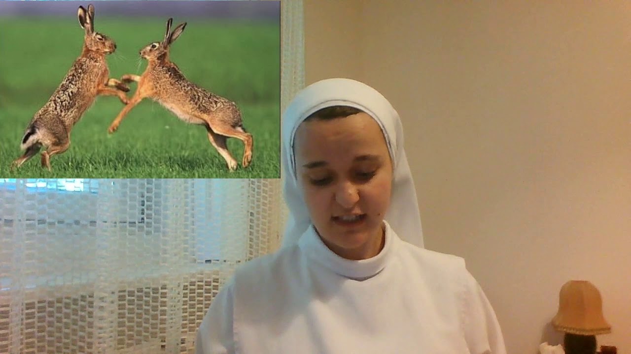 A csodálatos nyúlcipő 3.