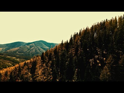 NEMOREUS - Into the Dawnlight(OFFICIAL MUSIC VIDEO)