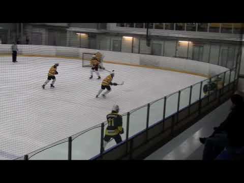 Pingviinit - HYRI | 13.3.2022 U17 Alempi jatkosarja