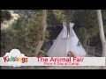 Kidsongs The Animal Fair From Kidsongs A Day At Camp