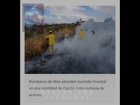INCENDIO FORESTAL EN CARCHI: Bomberos de Mira combaten el fuego este lunes
