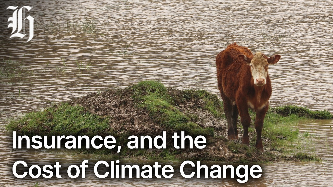 Kiwis' growing concern at cost of climate impact | Herald NOW Business