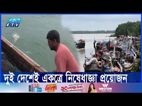 বাংলাদেশে জেলেদের ইলিশ ধরায় নিষেধাজ্ঞা, সুফল নিচ্ছে ভারত