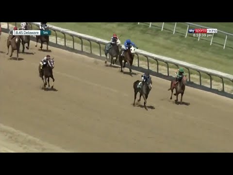 What a crazy finish to a horse race!