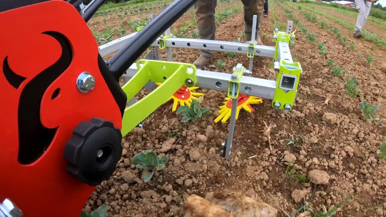 Vegetable Cultivation Made EASY With A Two Wheel Tractor