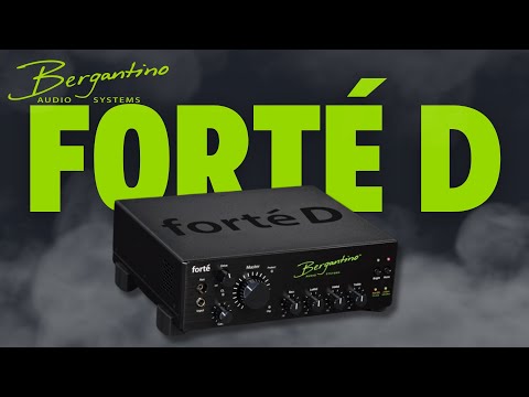 Bergantino Forté D 800W Bass Amp Demo