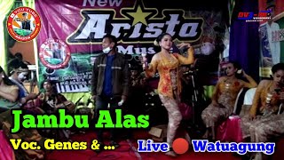 Download lagu Jambu Alas || Voc. Genes & ... || New Arista Music || Banjarnegara || Live 🔴 Watuagung mp3