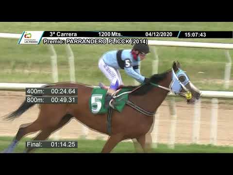 201204 c03 - BELLE 1º - Pedigree: Relento y Betiana por Aramram