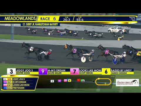 July 15, 2023 - E.T. Gerry Jr. Hambletonian Maturity - Race 6