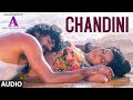 Chandini Full Audio Song || A || L.N. Shastry,Prathima Rao