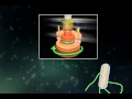 Video1