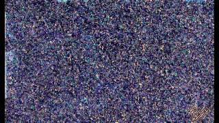 Non ne vale la pena - Kiff