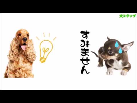 Dog Stickers Video