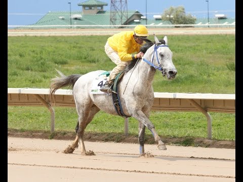 Wathba Stud Farm Cup - Arapahoe Park - Es Mi Cielo - May 24, 2015