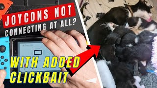 Kitty Pics Get Clicks When There's A Console To Fix! Nintendo Switch Won't Charge Or Connect Joycons