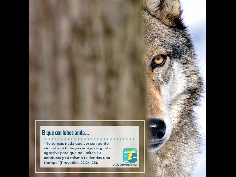 20 de marzo - El que con lobos anda... - Una Nueva Versión de Ti 2.0 - Devocional Jóvenes