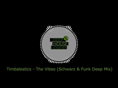 Timbalestics - The Vibes (Schwarz & Funk Deep Mix)