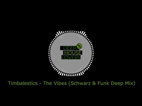 Timbalestics - The Vibes (Schwarz & Funk Deep Mix)