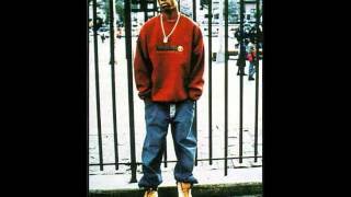 Big L - RARE VERSE (Show &amp; A.G. - Represent ft. Big L, DeShawn, &amp; Lord Finesse)
