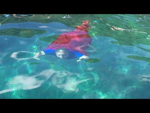 Balinjerada kod Prdele / Snimio Sergej DRECHSLER