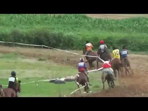 Akhir Kuda PADI A - 13 Jun 2015 @Trek Tendong