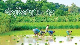 জাতীয় গ্রন্থাগার দিবস এর অনুষ্ঠান