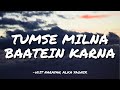 TUMSE MILNA BAATEIN KARNA UDIT NARAYAN ALKA YAGNIK LYRICS