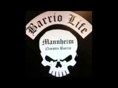 ZEKKO FEAT. MASSAKA ---- Alsenweg