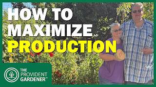 The BEST Way to Grow Food in Small Spaces (You Won't Believe the Yield!)