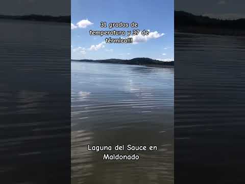 Laguna del Sauce Maldonado Uruguay